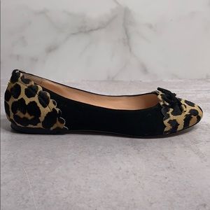 Kate Spade Westgrove Black Suede Leopard 8 Z 0052